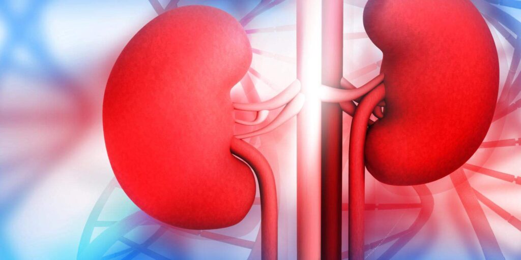 The Stages of Chronic Kidney Disease
